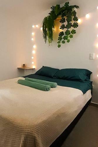 Apartamento Nativo House Amplio Y Acogedo