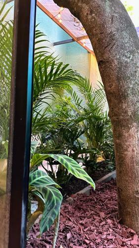 Muuk Boutique Hotel Campestre