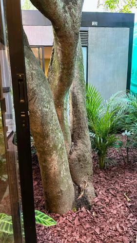 Muuk Boutique Hotel Campestre