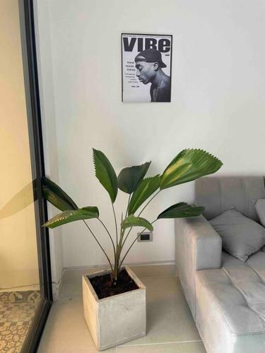 Pablo?s Home - New Apartment