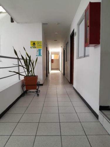 Hotel Palermo Real
