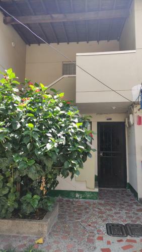 Habitaci�n Sencilla Y Central #6