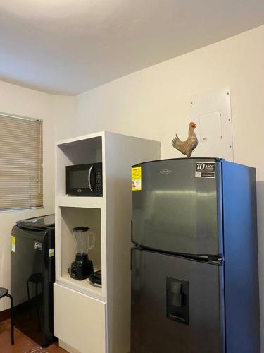 Apartamento Casa Botero, Alojamiento Completo