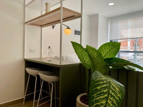 Apartamento Oliving By Wynwood House