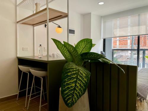 Apartamento Oliving By Wynwood House