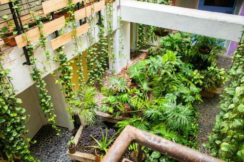 Green Hotel Medellin