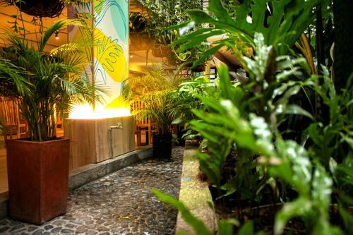 Green Hotel Medellin