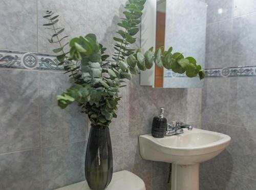 Apartamento Hermoso Apto En Laureles