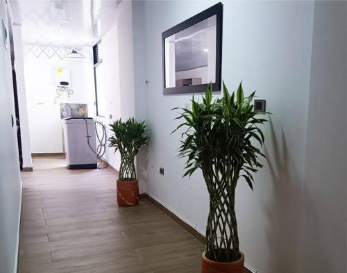 Apartamento Edificio Floresta Apto 401