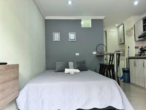 Apartamento Loft Bel�n Rosales Central