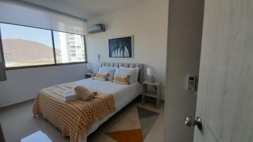 Increible Apartamento Santa Marta Con Vista Espectacular