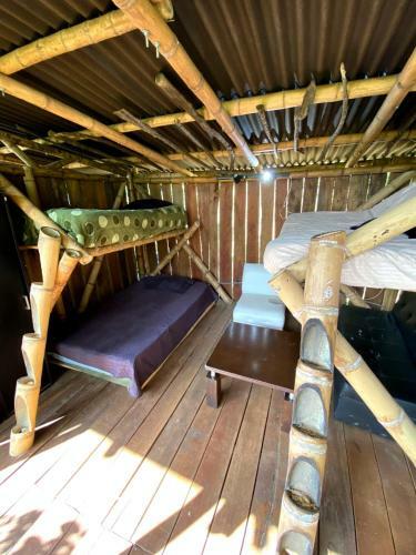 Hostal La Caba�a Del Nyctibius