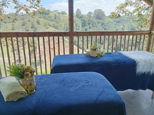 Alojamiento Rural Finca La Bendici�n