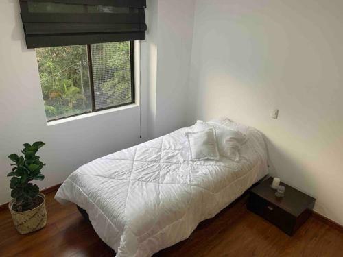 Apartamento Oasis House Envigado