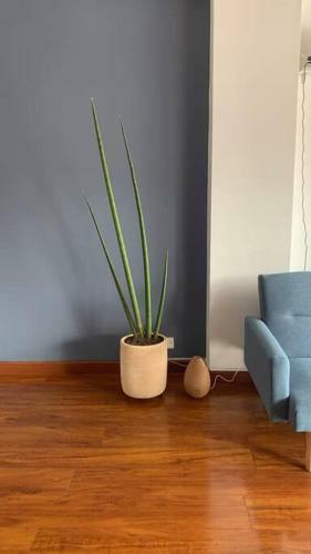 Apartamento Oasis House Envigado