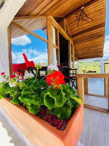 Caba�as El Paraiso Pescaderito