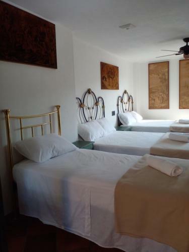 Bed & Breakfast Casa Silva - Hotel Cafe