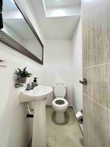 Apartamento Nuevo, Central, Hermosa Vista.