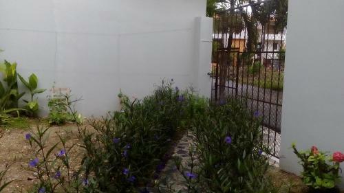 Hostal Chambres D�hotes La Romana