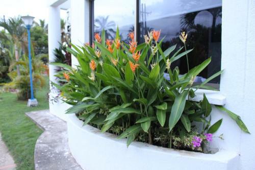 Apartamento Vaia Hoteles