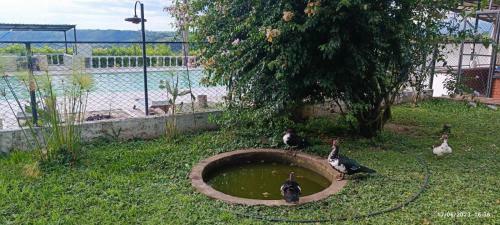 Agroturismo Finca Marat�n Alto
