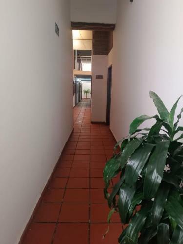 Bed & Breakfast Hogar De Paso Guaracao
