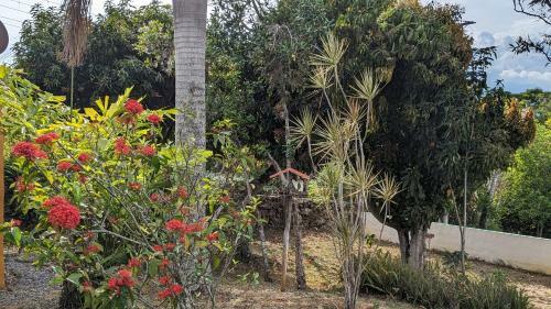 Apartamento El Cocuy