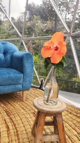 Luz De Luna Glamping