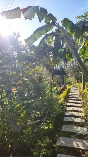 Luz De Luna Glamping