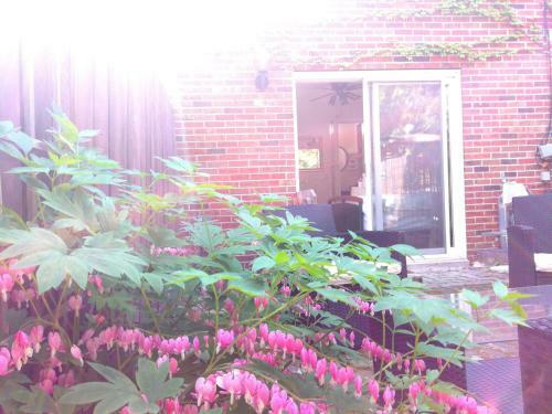 Hostal Margie Townhome Suites