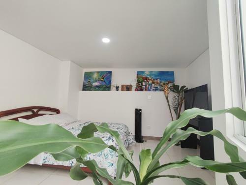 Beautiful And Bright Studio Apartment With Rooftop