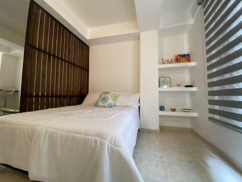 Apartaestudio En San Fernando