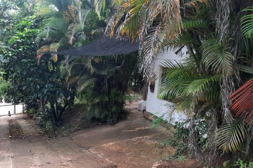 Apartamento Estad�a Saraisa