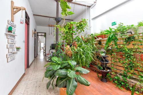 Casa Blanca San Antonio Hostal Boutique