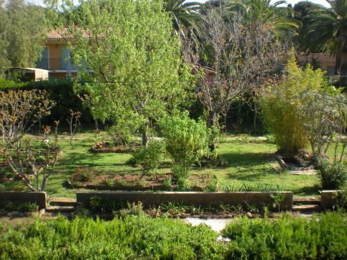 Hotel H�tel Les Palmiers