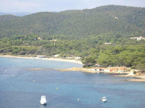 Hotel H�tel Les Palmiers