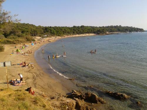 Hotel H�tel Les Palmiers
