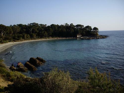 Hotel H�tel Les Palmiers