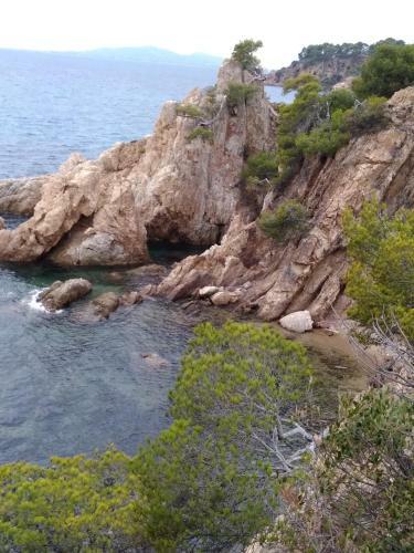Hotel H�tel Les Palmiers