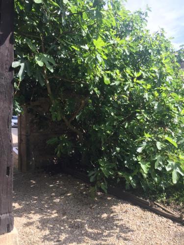 Bed & Breakfast Le Moulin De Champagne