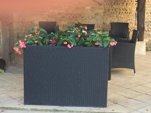 Bed & Breakfast Le Moulin De Champagne