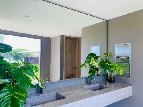 Apartamento Amazing Loft / Private Beach + Pools + Natural