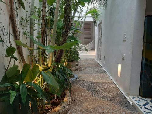 Apartamento Casa Pompeya La Serrezuela