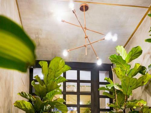 203 Aparta Studio Boutique En Mansi�n Siglo XIX