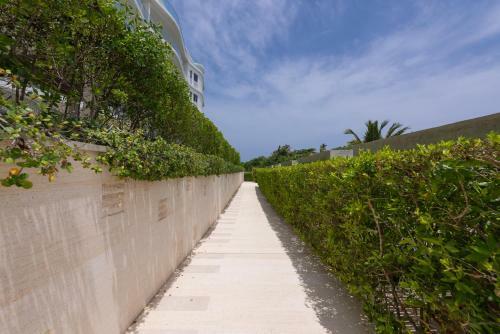 Lujoso Apartamento Con Salida Directa A La Playa Edificio Morros Eco