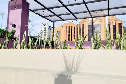 Apartamento Encanto Retro En Hosty - Chapinero Central
