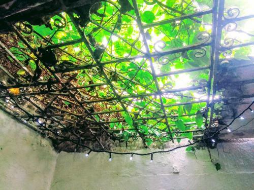 Hostal Makako Chillout Hostel