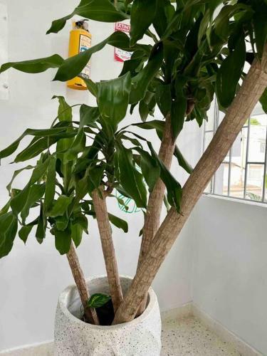 Apartamento Unique Studio With Balcony Near Old Town
