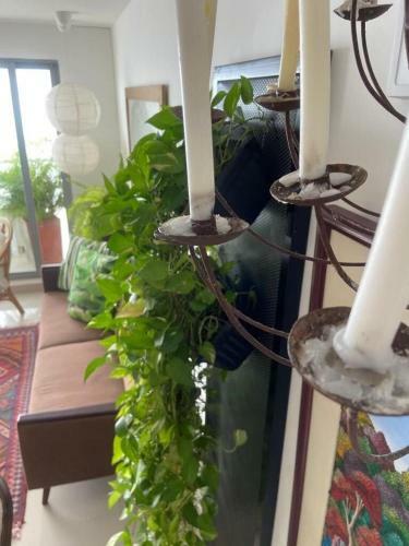 Apartamento Frente Al Mar Home Office 7b