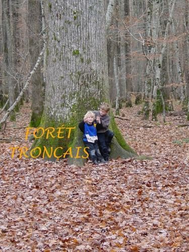 Hotel Auberge Magnette